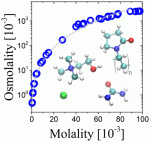 Properties of Polyvinylpyrrolidone in a Deep Eutectic Solvent
