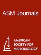 Disregard of Pre-Medline Literature and the Future of Honest Science