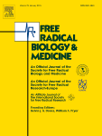 Interaction of viable group A streptococci and hydrogen peroxide in killing of vascular endothelial cells