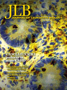  The biology of leukocyte-mediated proteolysis