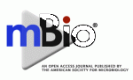 Unrealistic nonphysiological amounts of reagents and a disregard for published literature