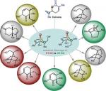 Selective C-C and C-H bond Activation/Cleavage of Pinene Derivatives: Synthesis Of Enantiopure Cyclohexanone Scaffolds and Mechanistic insights