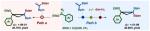 A Stereodivergent Approach to the Synthesis of gem-Diborylcyclopropanes
