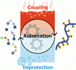 Automated Synthesis of Heavily Phosphorylated Peptides