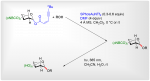 Photolabile Protecting Group-Mediated Synthesis of 2-Deoxy-Glycosides