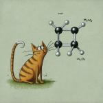 Two pathways and an isotope effect in H3+ formation following double ionization of methanol