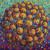 The Effect of the Capping Agents of Nanoparticles on Their Redox Potential