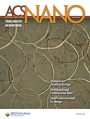 Journal cover in ACS Nano