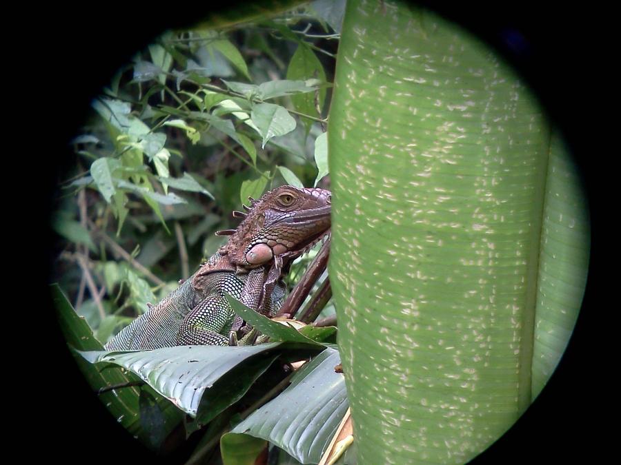 Costa Rica