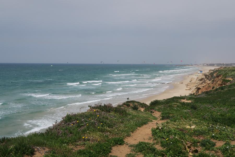 sea