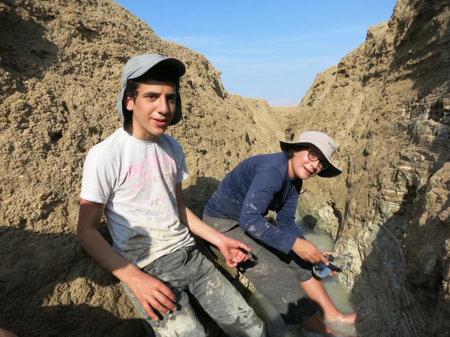 הלל
