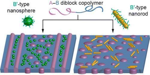 41. co-assembly of B'-type nanorods in A-B block copolymers