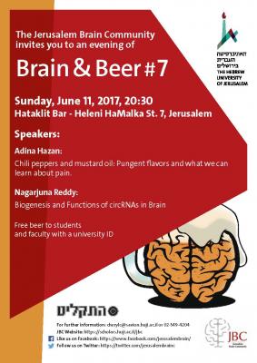 Poster for Brain &amp; Beer