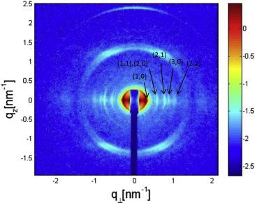 x-ray from aligned flagellar x-ray from aligned flagellar