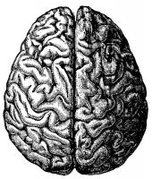 Brain_Funding