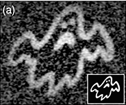 gi