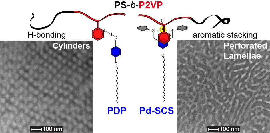 42. hierarchical structures of Pd-pincer-block copolymer system