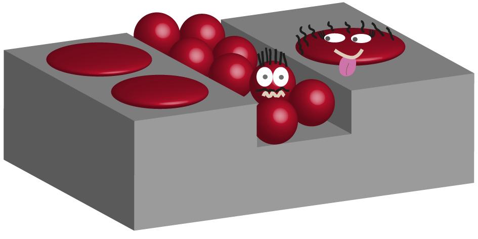 68. DSA of BCP micelles