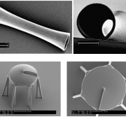 Two new Research grants were awarded to Nanoscribe projects at the Brojde Lab