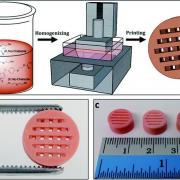 Description of the process: Contaminant Removal with 3D Printed Zeolite Monoliths