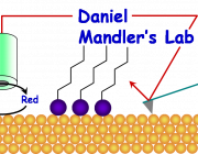 dmg-logo.png