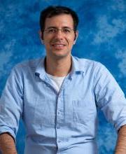Amir Capua