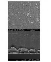 Functional Coatings Comprised of Cellulose Nano Crystals Functional Coatings Comprised of Cellulose Nano Crystals