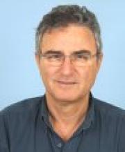 Israel Ringel
