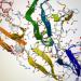 | Binding mode and Affinity of different cannabinoids and/or endocannabinoids to cannabinoid receptors