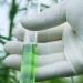 | Extraction, solubilization and delivery of Cannaboids using novel nanodelivery liquid vehicles