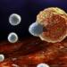 | Targeting of cannabinoids to inflamed tissue: Elucidating the mechanism of immunomodulation
