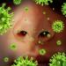 | Allergy, mast cells, eosinophils and the endocannabinoid system