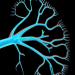 | Elucidating the role of proximal tubular cb1 receptor in Obesity-induced renal dysfunction