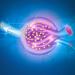 | Targeting proximal tubular cb1 receptor for the treatment of Diabetic Nephropathy