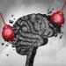 | The role of CBD in traumatic brain injury