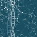 | Developing methods for genome editing in cannabis in a non-transgenic manner