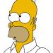 Homer J Simpson