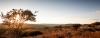 tal_rogvski-8834.jpg