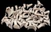 Amphorae handles